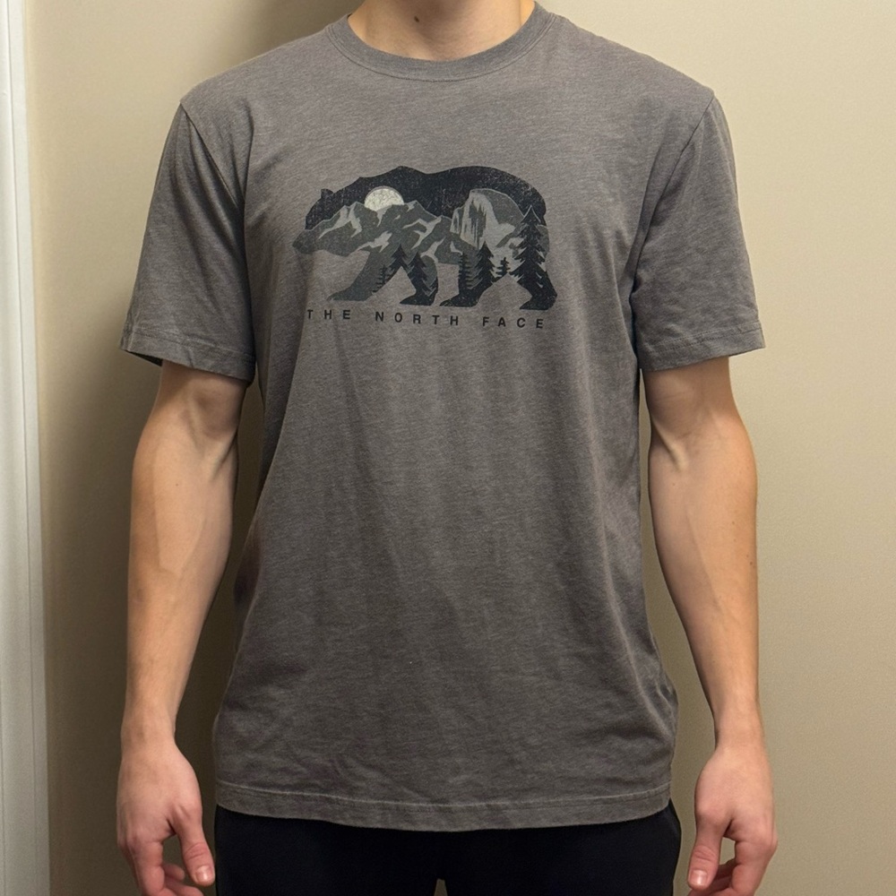 The North Face Gray Bear Mountain T-Shirt